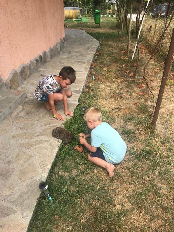 Стаи За Гости Тони Ribarica Zewnętrze zdjęcie